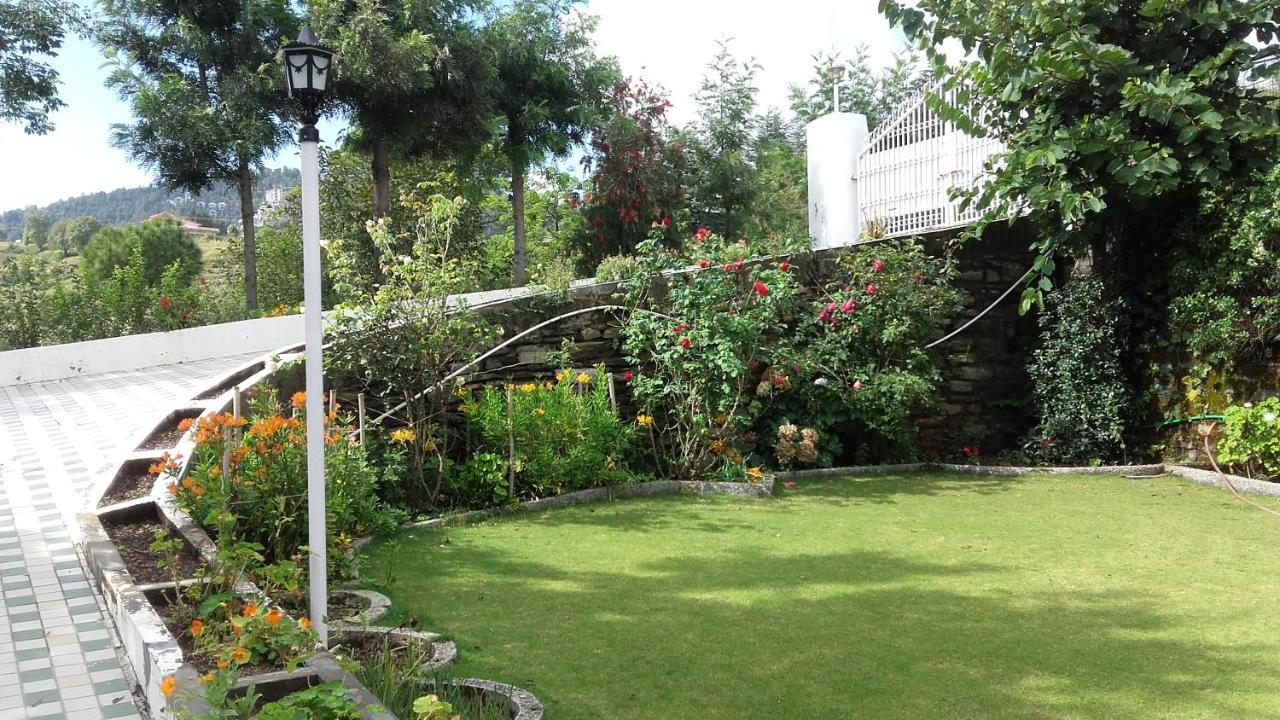 Rosewood Estate Bed & Breakfast Chail Ngoại thất bức ảnh